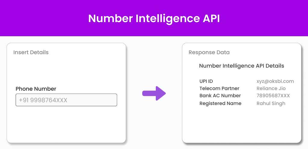 Number Intelligence API
