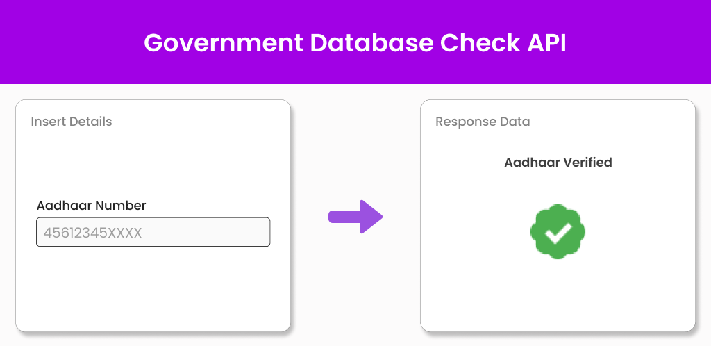 Government Database Check API