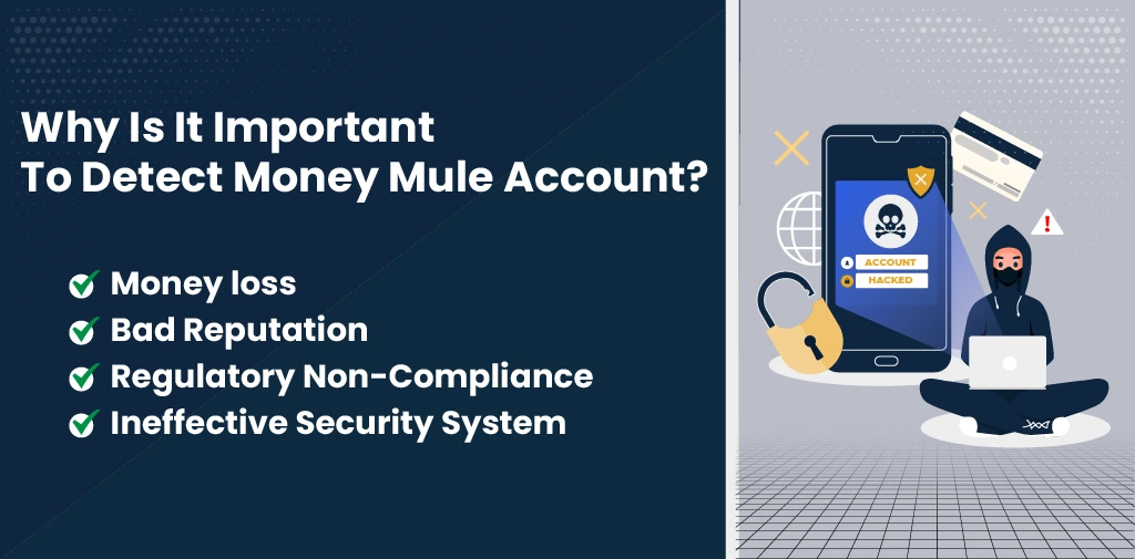 Detect Money Mule