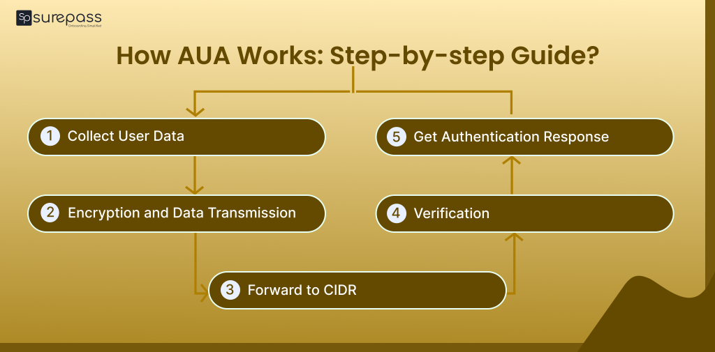 How AUA works: step by step Guide?