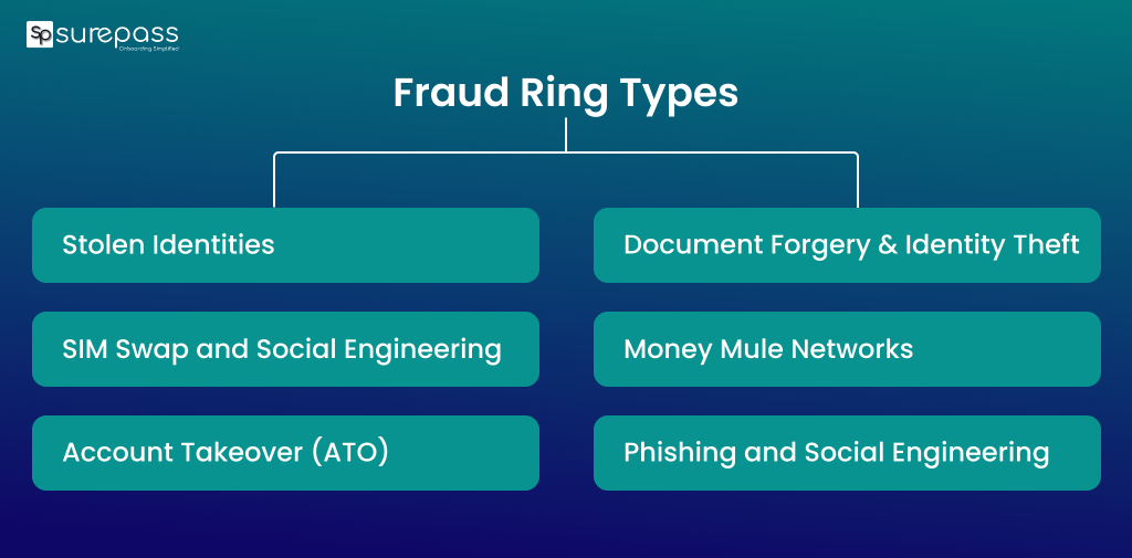 Fraud Ring Types