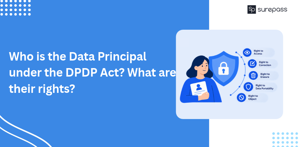 Who is the Data Principal under the DPDP Act_ What are their rights_